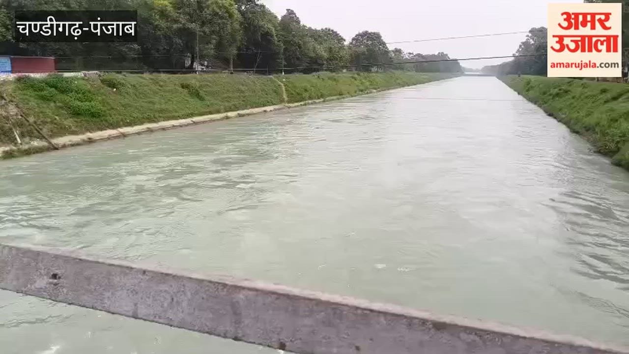Youth from Ludhiana jumps into Nangal Hydel Canal.