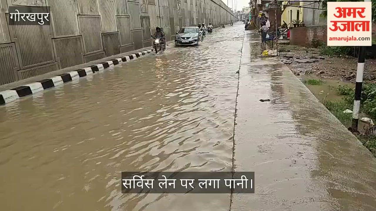 One foot of water has accumulated on the service lane of the Gorakhpur-Sonauli road in Jungle Kauria.