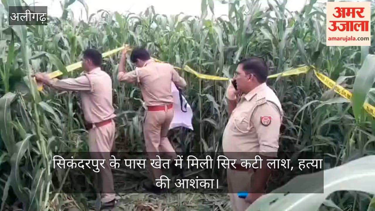 सिकंदरपुर के पास खेत में मिली सिर कटी लाश, हत्या की आशंका