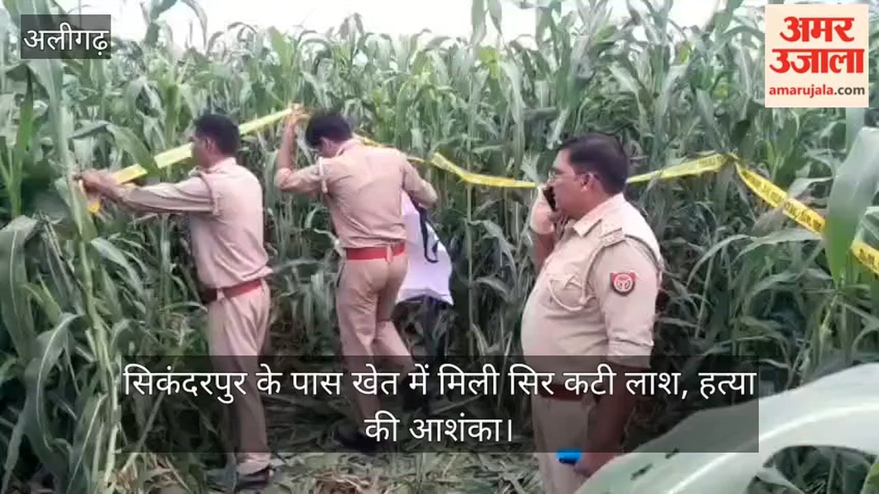 सिकंदरपुर के पास खेत में मिली सिर कटी लाश, हत्या की आशंका