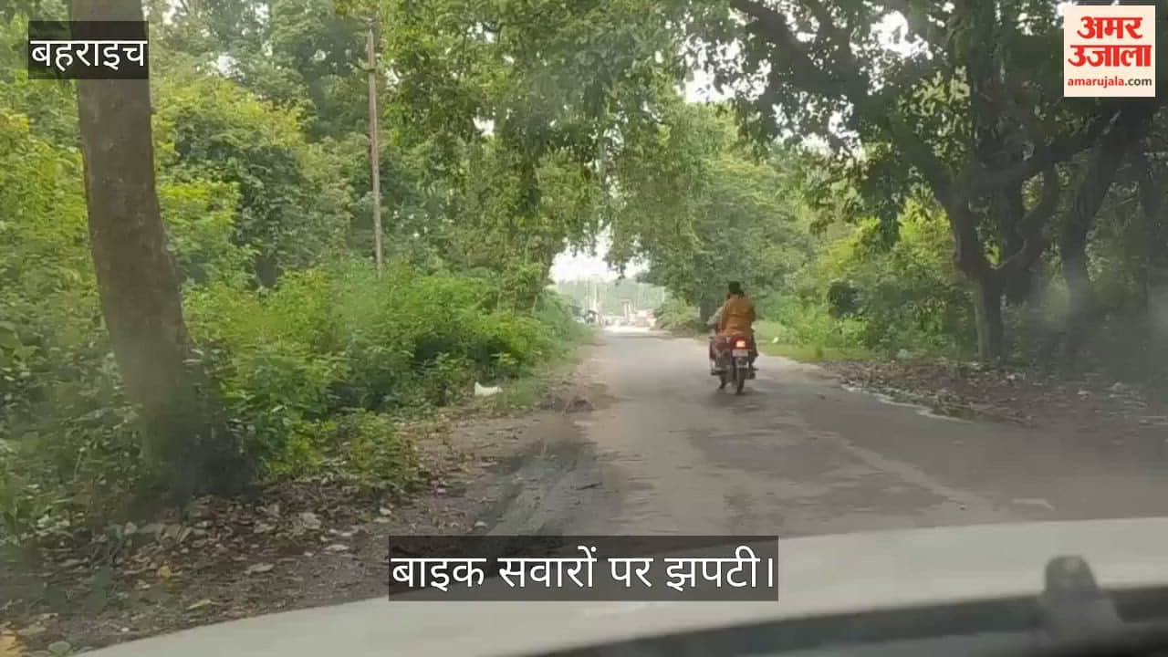 Video: बहराइच में दो शावकों के साथ सड़क पार करती मादा-तेंदुआ, बाइक सवारों पर झपटी