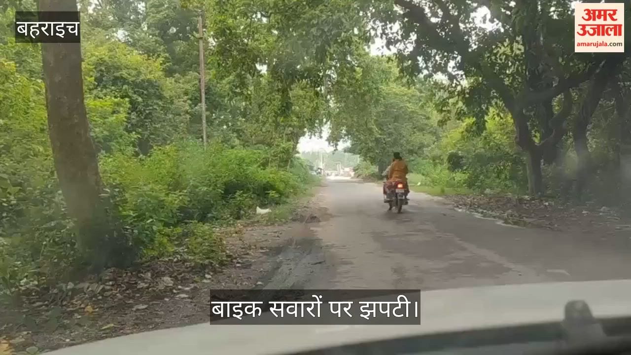 Video: बहराइच में दो शावकों के साथ सड़क पार करती मादा-तेंदुआ, बाइक सवारों पर झपटी