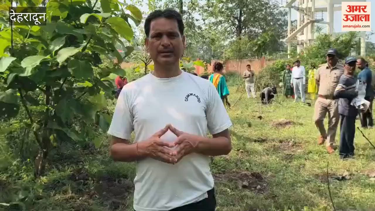 School children reached the forest with a marching band and planted saplings