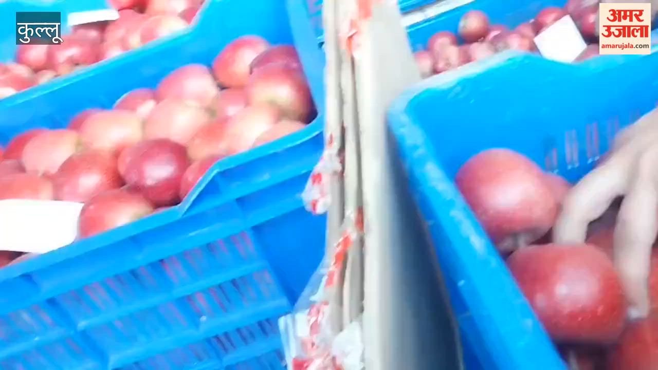 gala apple price 230 per kg bhunter mandi kullu