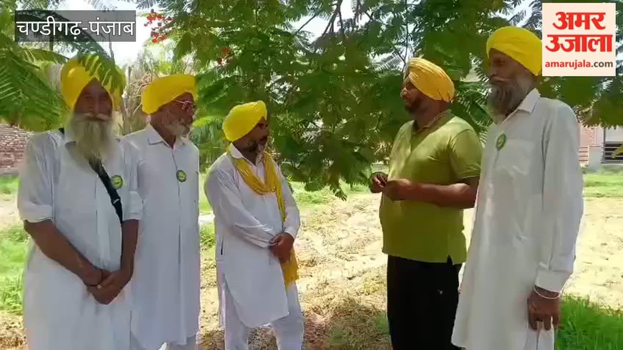 Delayed monsoon in Punjab raises farmers' concerns; clouds of crisis loom over the paddy crop.