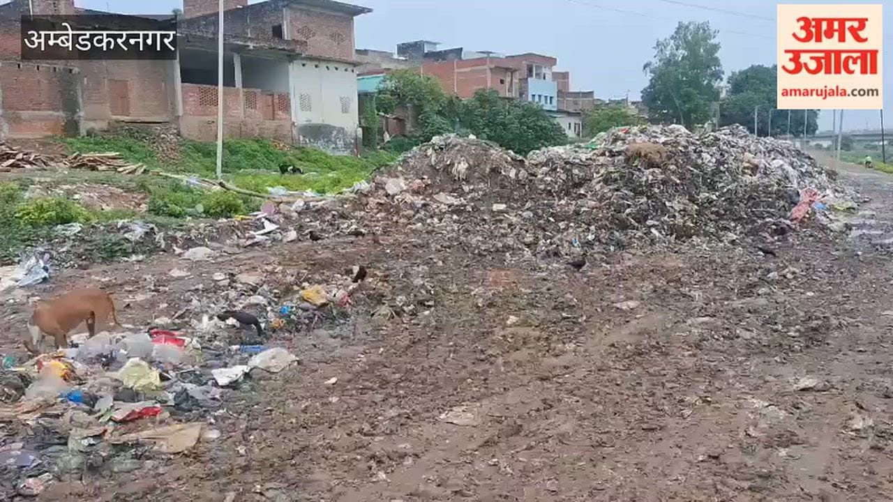 अंबेडकरनगर में हरकत में आई नगर पालिका, तमसा किनारे से हटाया गया कूड़ा