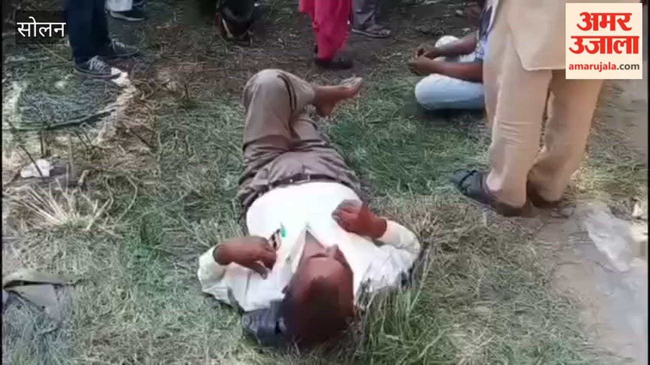 kunihar urea fertilizer shortage solan himfed farmers