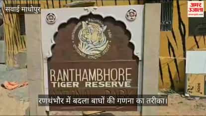 Tiger census method changed in Ranthambore