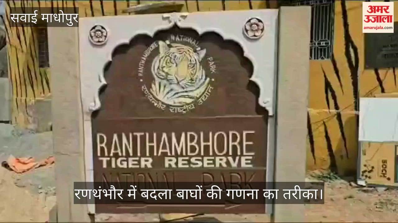 Tiger census method changed in Ranthambore