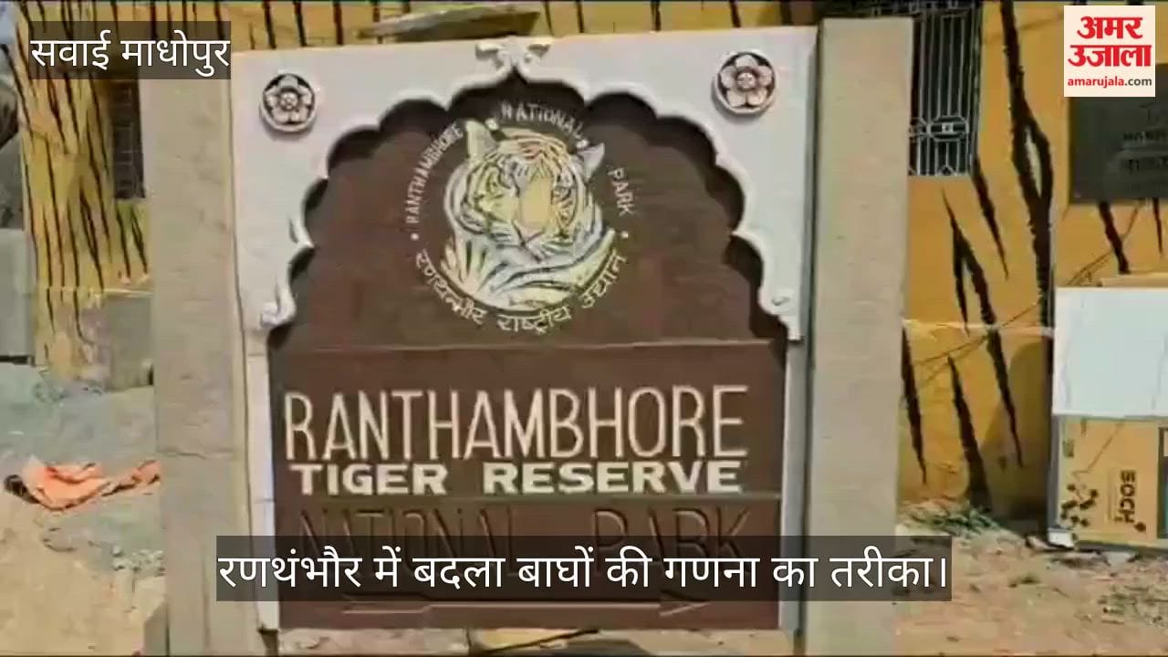 Tiger census method changed in Ranthambore