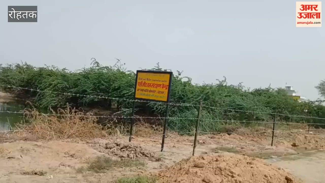 Water shortage in Rohtak's Madina village; residents are purchasing tankers to meet their water needs.