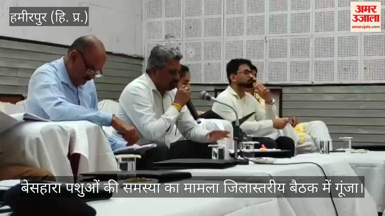 Hamirpur: Issue of stray animals raised at district-level meeting.