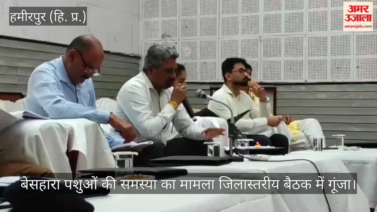 Hamirpur: Issue of stray animals raised at district-level meeting.