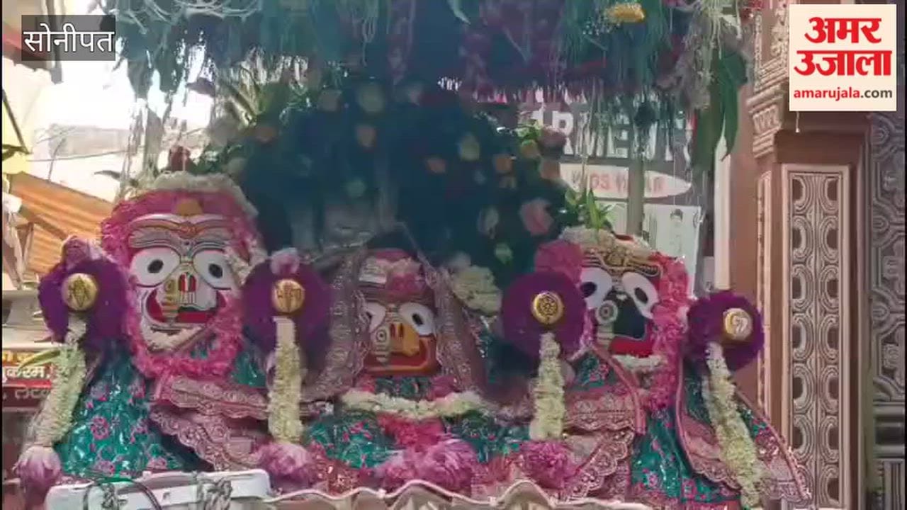 Gohana resounded with chants hailing Lord Jagannath; a grand chariot procession set out at 5 PM.