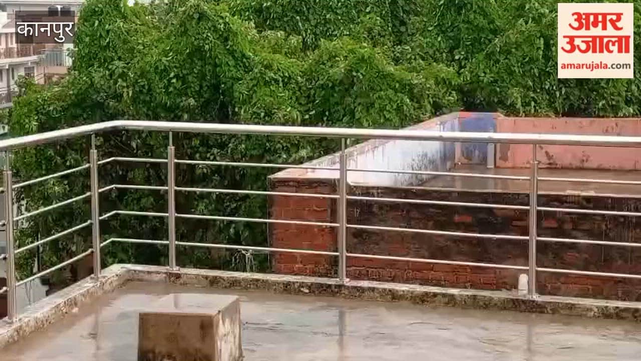 Kanpur: Rain brings relief from sultry heat; major respite for farmers