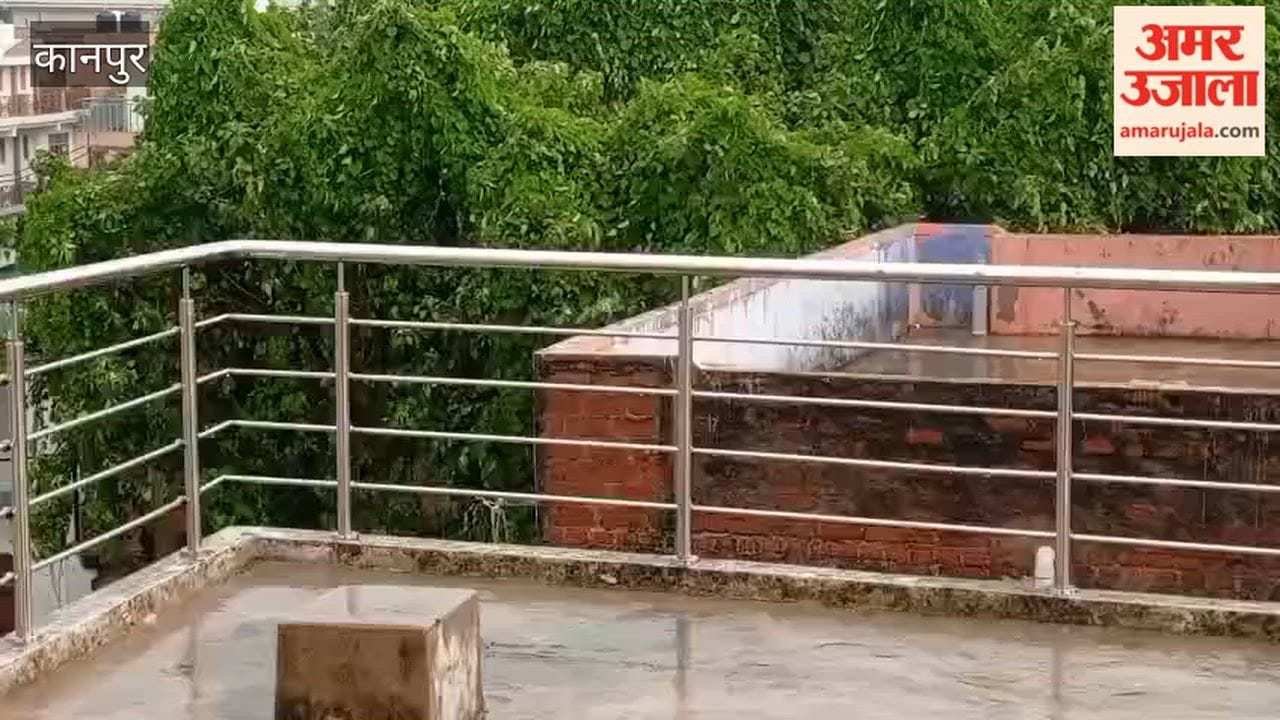 Kanpur: Rain brings relief from sultry heat; major respite for farmers