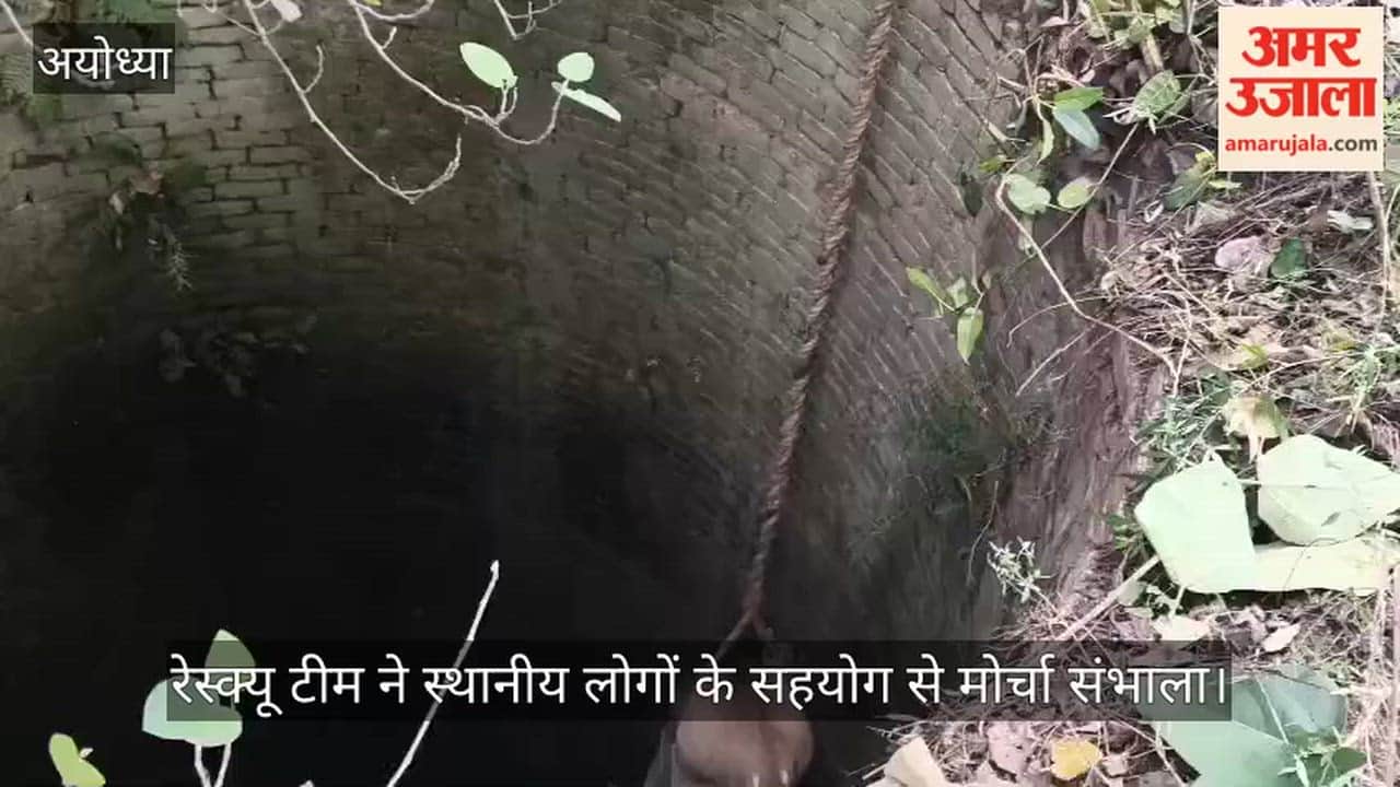 अयोध्या: कुएं में गिरी नीलगाय का सुरक्षित रेस्क्यू, समाजसेवी की पहल पर वन विभाग ने बचाई जान