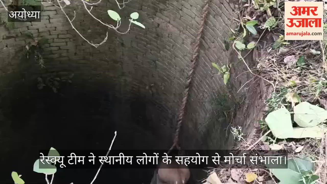 अयोध्या: कुएं में गिरी नीलगाय का सुरक्षित रेस्क्यू, समाजसेवी की पहल पर वन विभाग ने बचाई जान