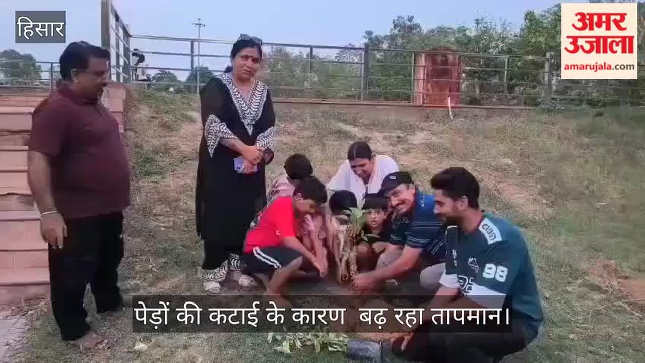Pledge to boost greenery: Tree plantation drive launched in Hansi.