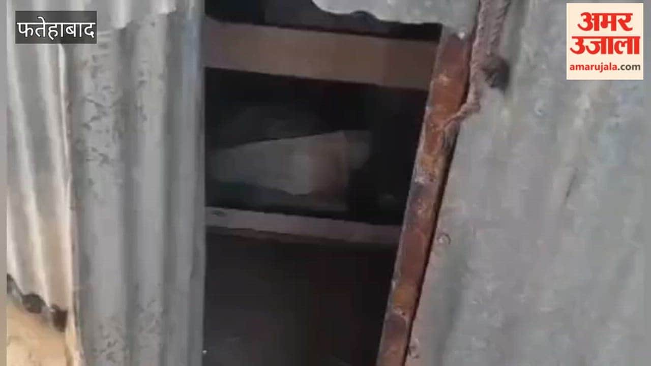 Theft at a tea stall in Tohana city; thieves made off with goods worth ₹10,000.