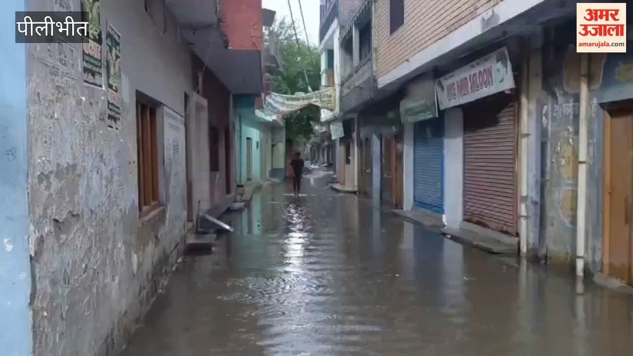 Rain makes the weather pleasant in Pilibhit