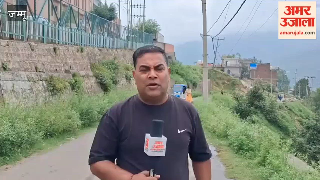 Bushes encroach upon Hospital Road