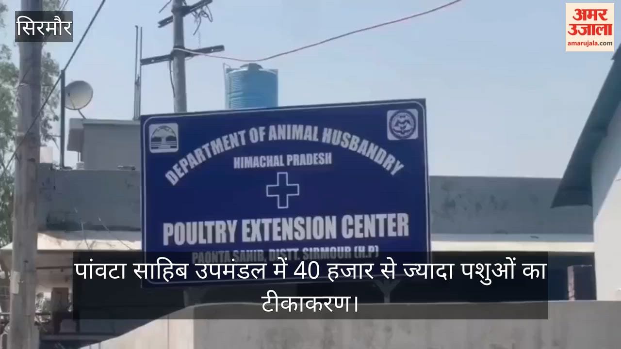 Dr. Mahajan said that more than 40 thousand animals are being vaccinated in Paonta Sahib sub-division.