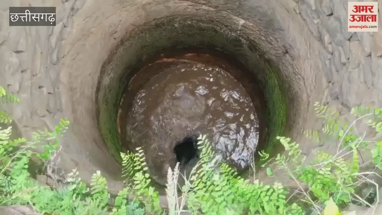 Bear rescued from a well in Manendragarh goes on a rampage launches life threatening attacks on a woman and a student