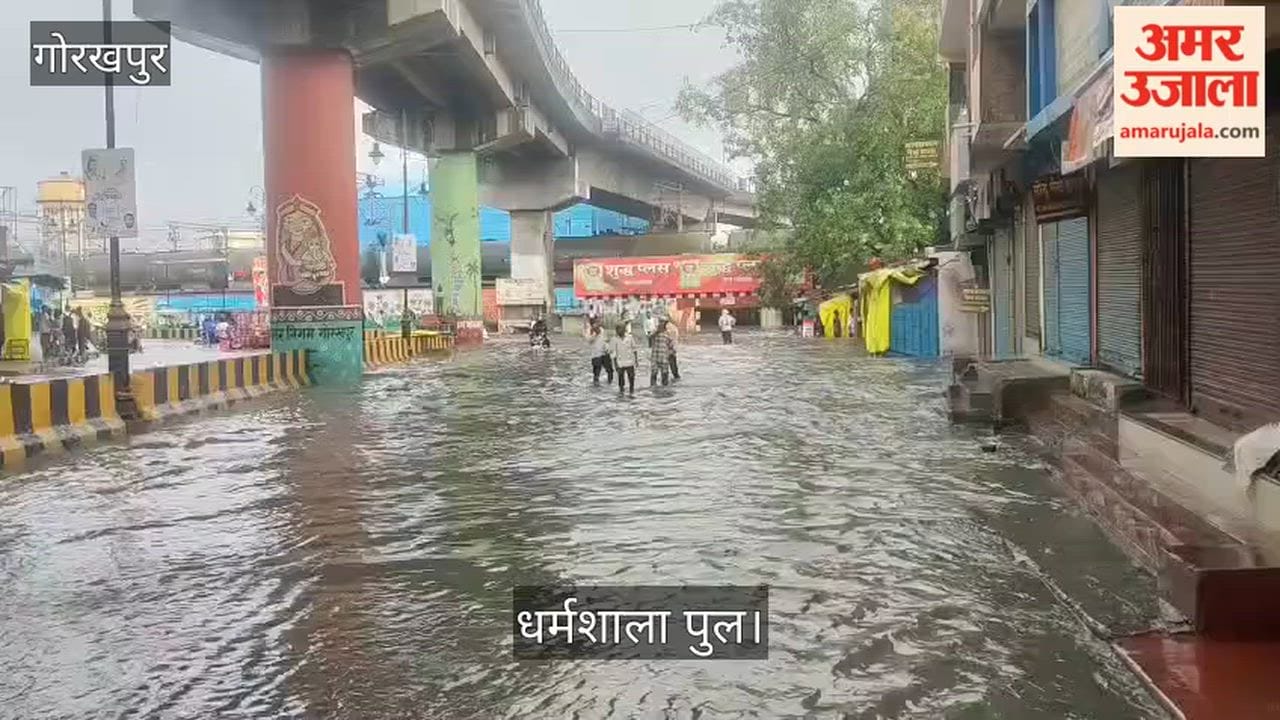 Rainwater has accumulated under the Dharamshala bridge.