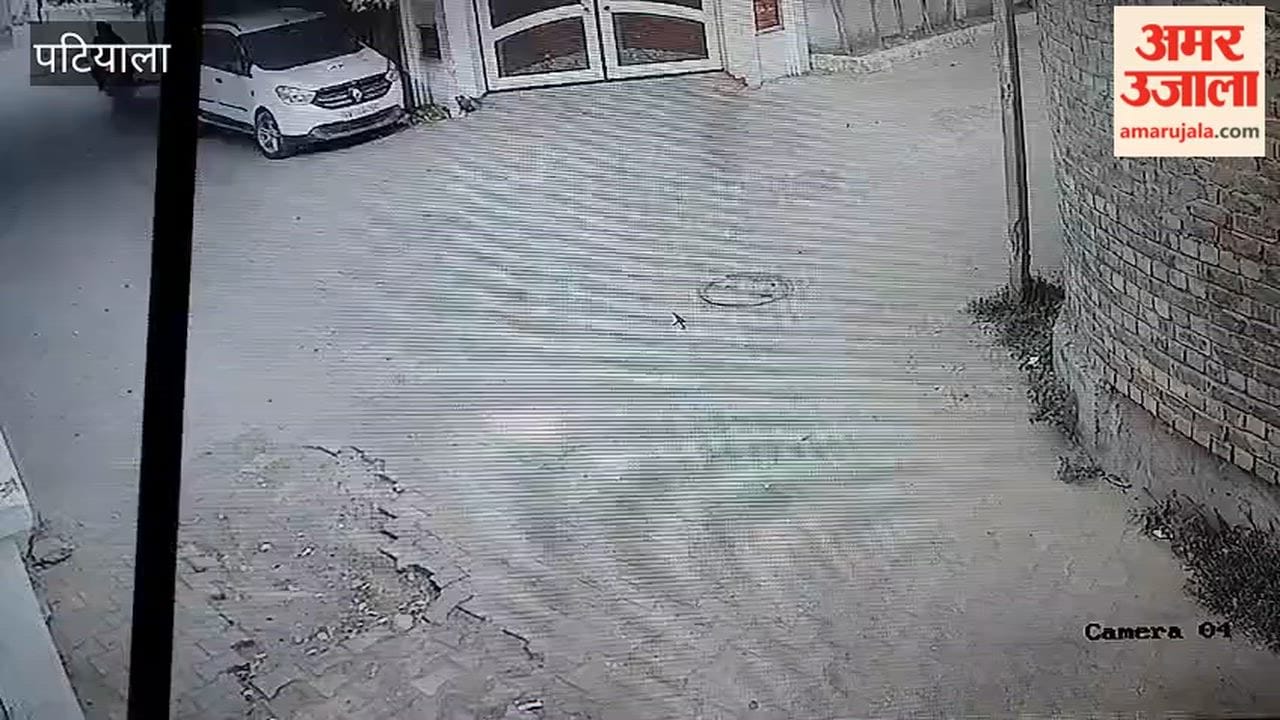 Elderly woman's earrings snatched in broad daylight in Patiala.