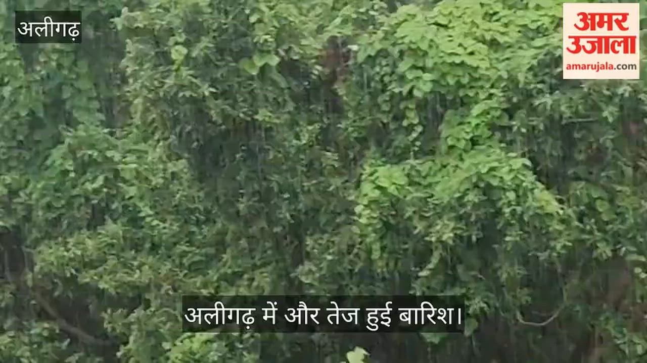 अलीगढ़ में और तेज हुई बारिश