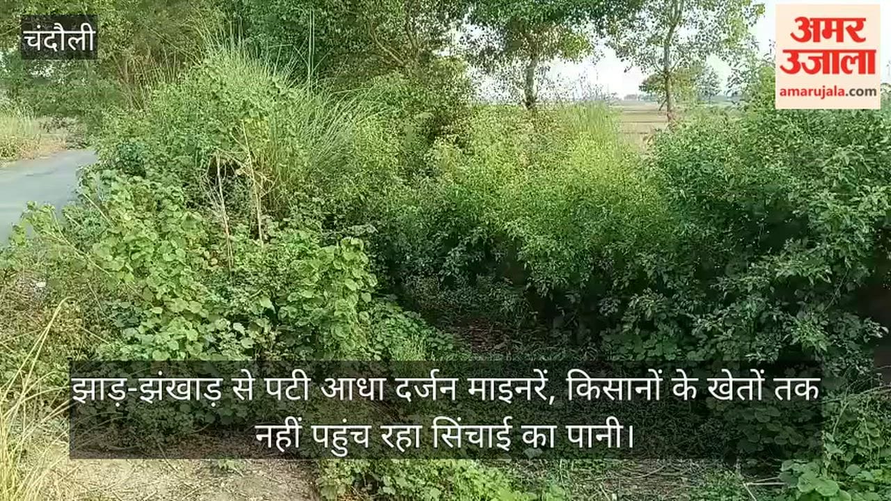 Half a dozen minor canals choked with thickets and weeds; irrigation water failing to reach farmers' fields