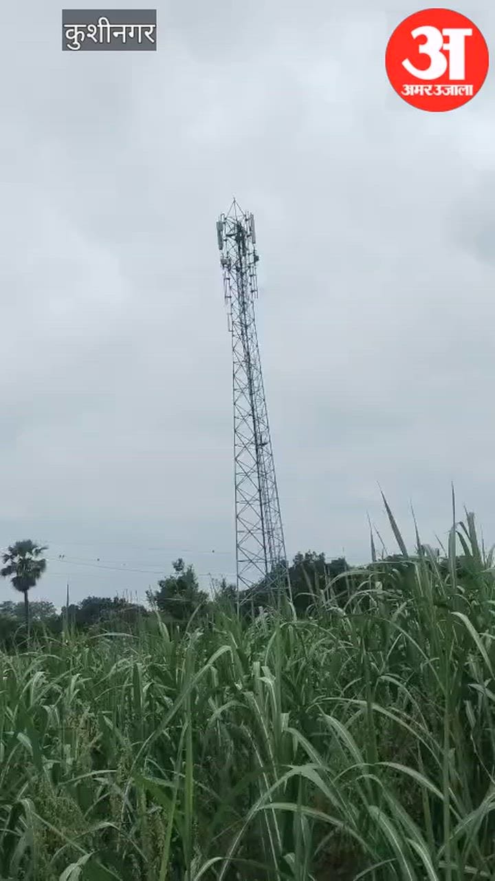 मोबाइल के लिए टावर पर चढ़ा मंदबुद्धि युवक, जानिए कैसे उतरा-VIDEO