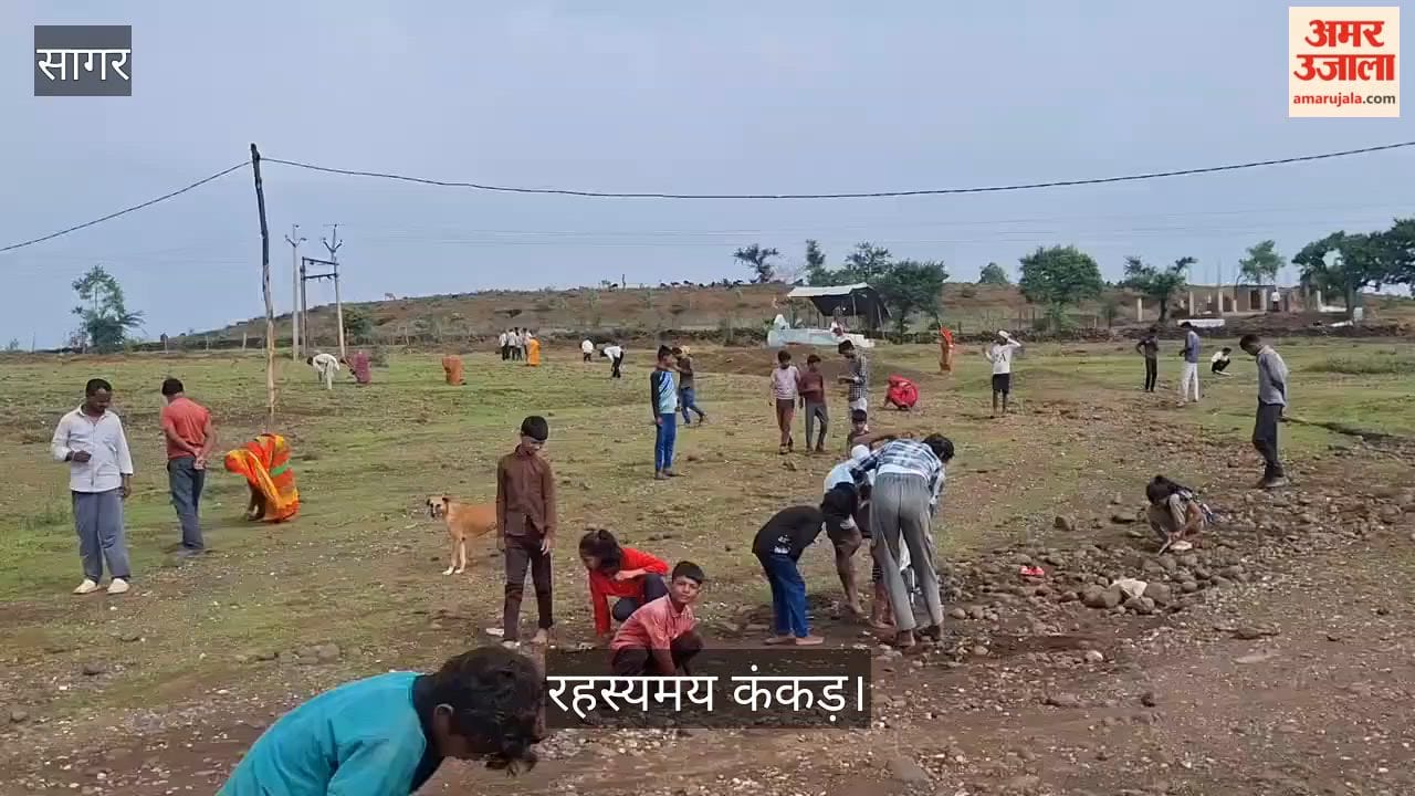 Mysterious Stones Found In Barren Land; Villagers Rush To Collect High-Value Pebbles.