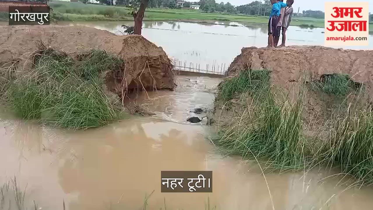Canal breach ruins farmers' hard work; crops submerged.