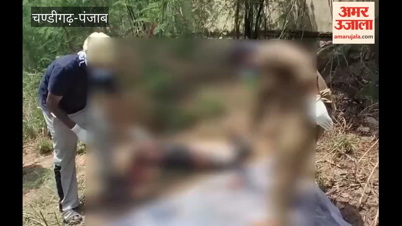 Body of a young man found hanging from a tree near Moga railway station.