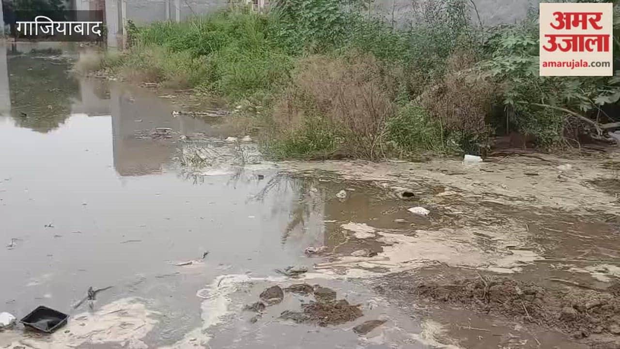Water from Hindon River is continuously entering Karhera colony in Ghaziabad