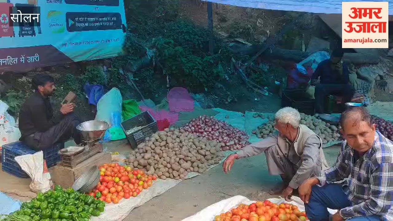 solan kisan janata mandi low footfall farmers wait for buyers