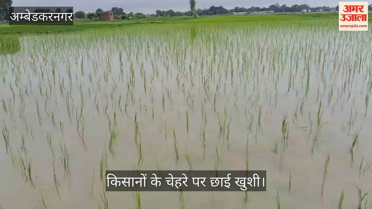 VIDEO: दिनभर हुई अच्छी बारिश, धान की रोपाई ने पकड़ी रफ्तार, किसानों के चेहरे पर छाई खुशी