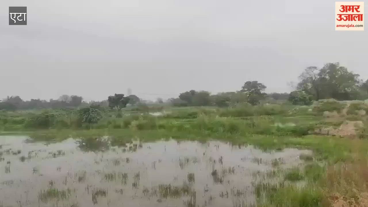crops submerged due to rising water levels in Arind River