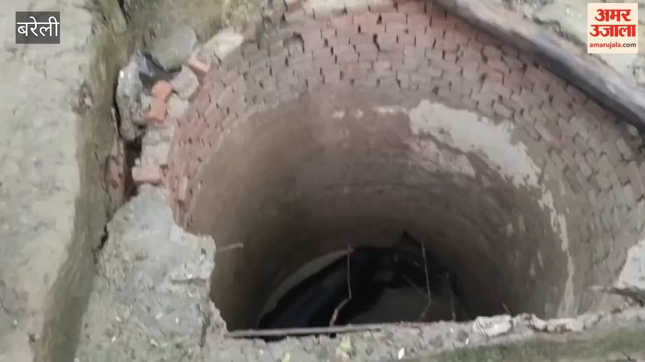 Bull falls into village well in Bareilly