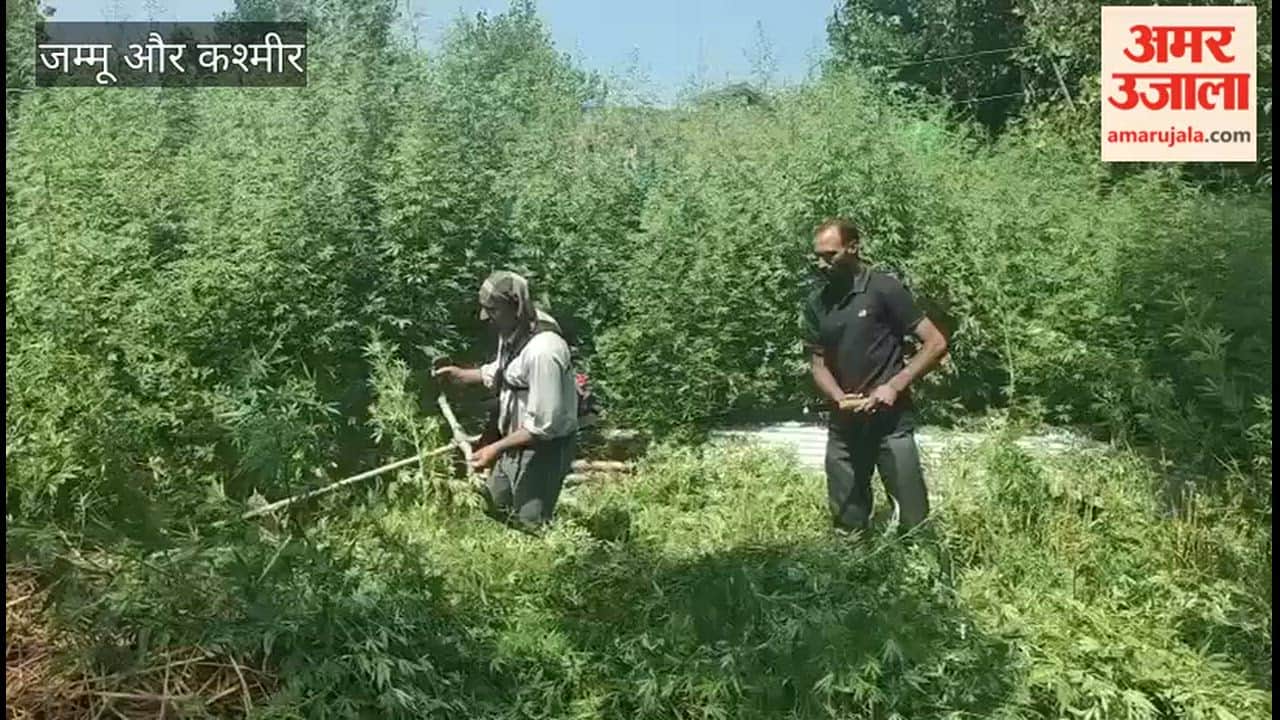 Campaign for a drug-free Jammu & Kashmir intensifies