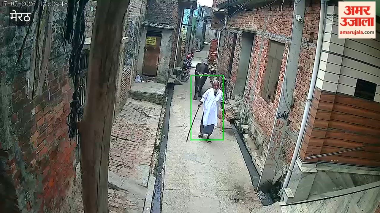 Bull hits old man walking on the road, picks him up and throws him away