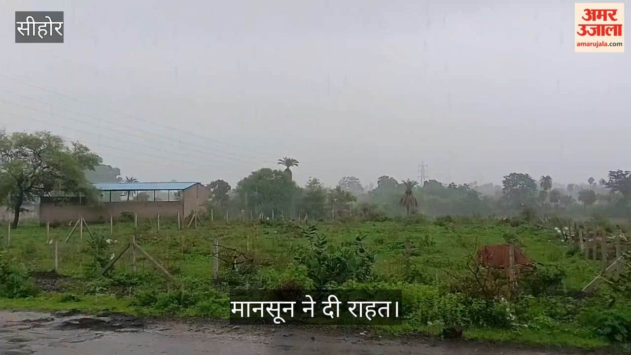 Sehore news:Monsoon Revives in Sehore, Rain Brings Relief to Farmers and Boosts Soybean Crop Hope