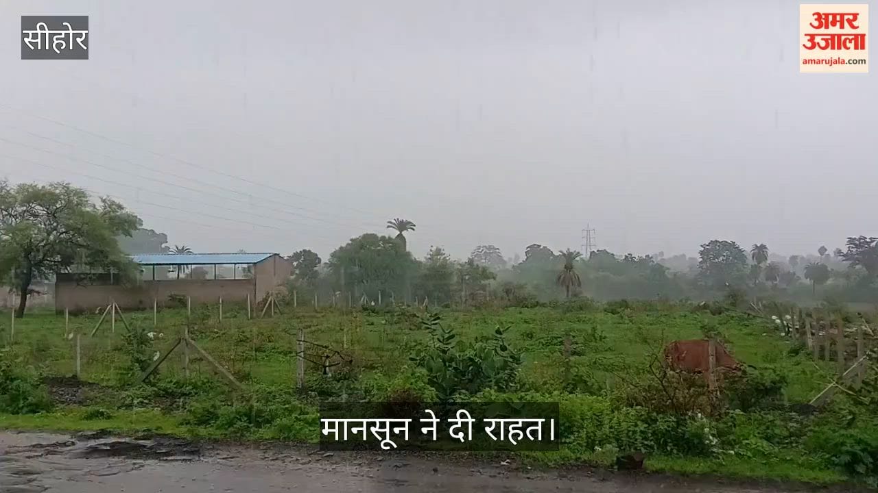 Sehore news:Monsoon Revives in Sehore, Rain Brings Relief to Farmers and Boosts Soybean Crop Hope