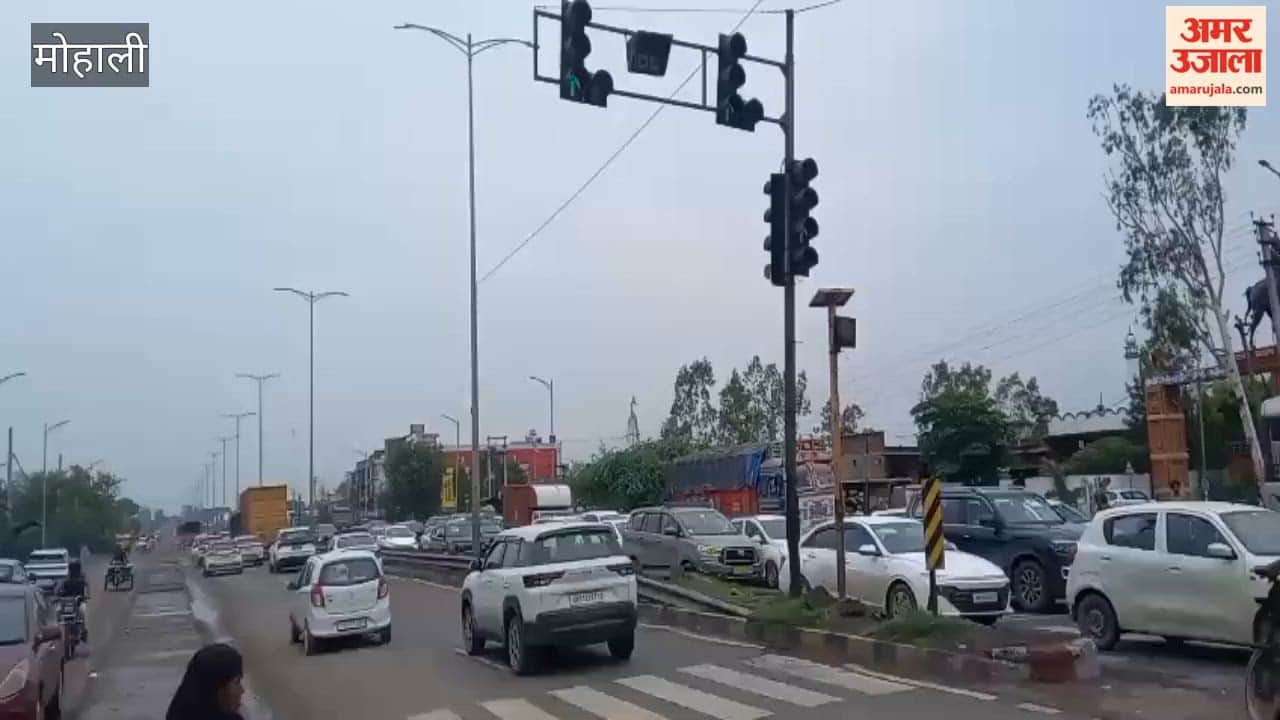 Traffic diverted due to farmers' protest at Shambhu border; queues of vehicles form at Lalru.