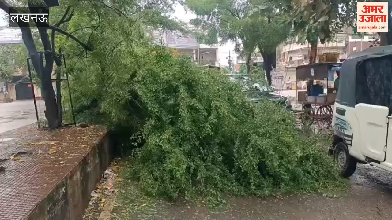 लखनऊ में बारिश के बीच इंजीनियरिंग कॉलेज चौराहे के पास डिवाइडर में लगा पेड़ गिरा, आवागमन में परेशानी