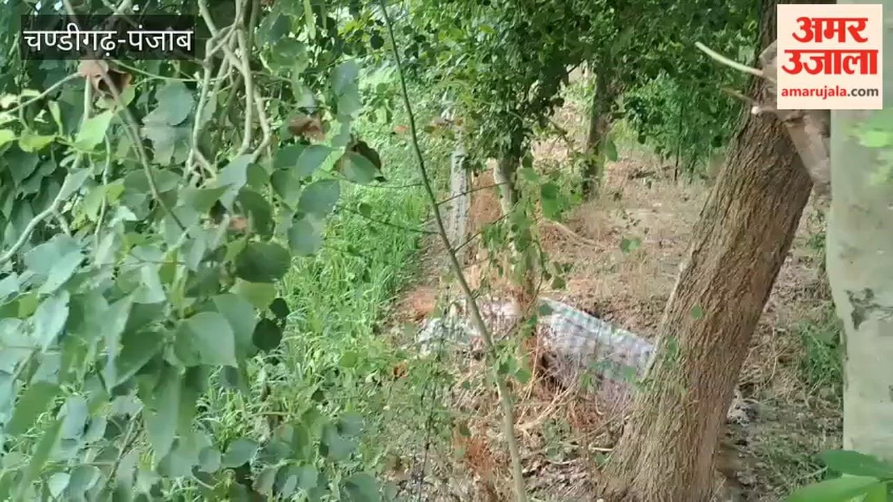 Woman Dead body found in kotkapura