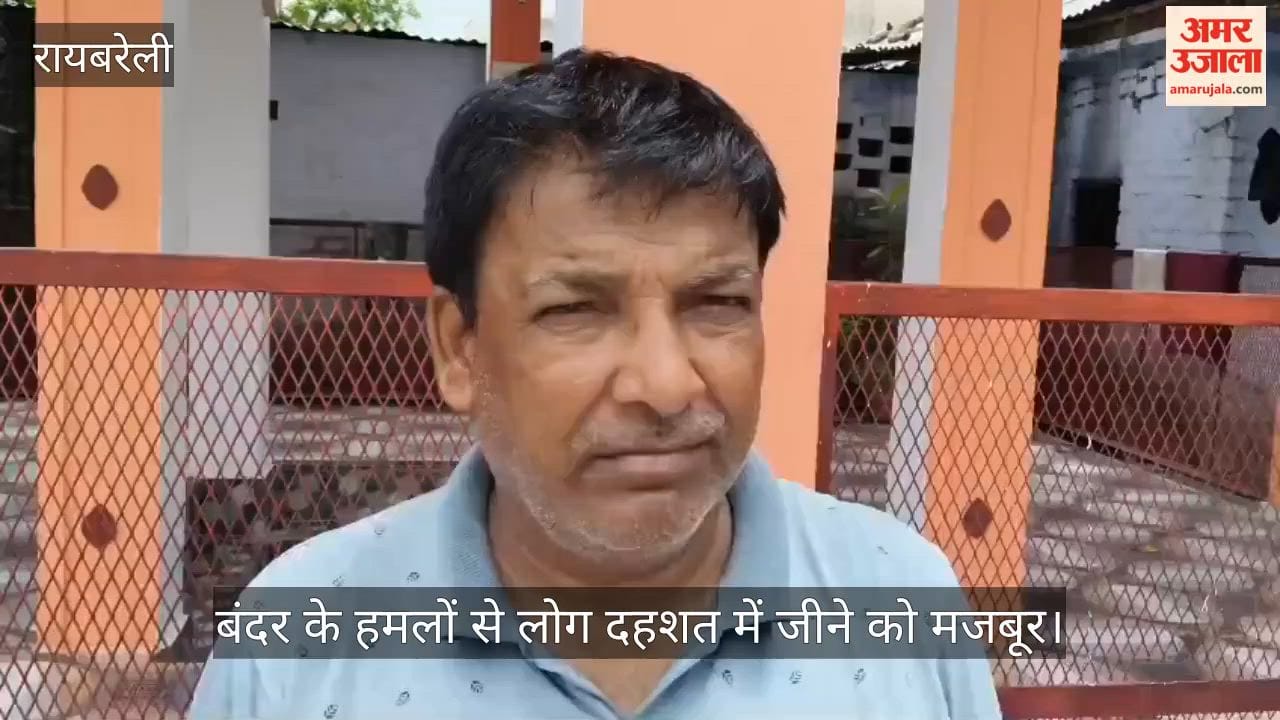 VIDEO: लाल बंदर के आतंक से दहशत में ग्रामीण, कई लोग हो चुके घायल