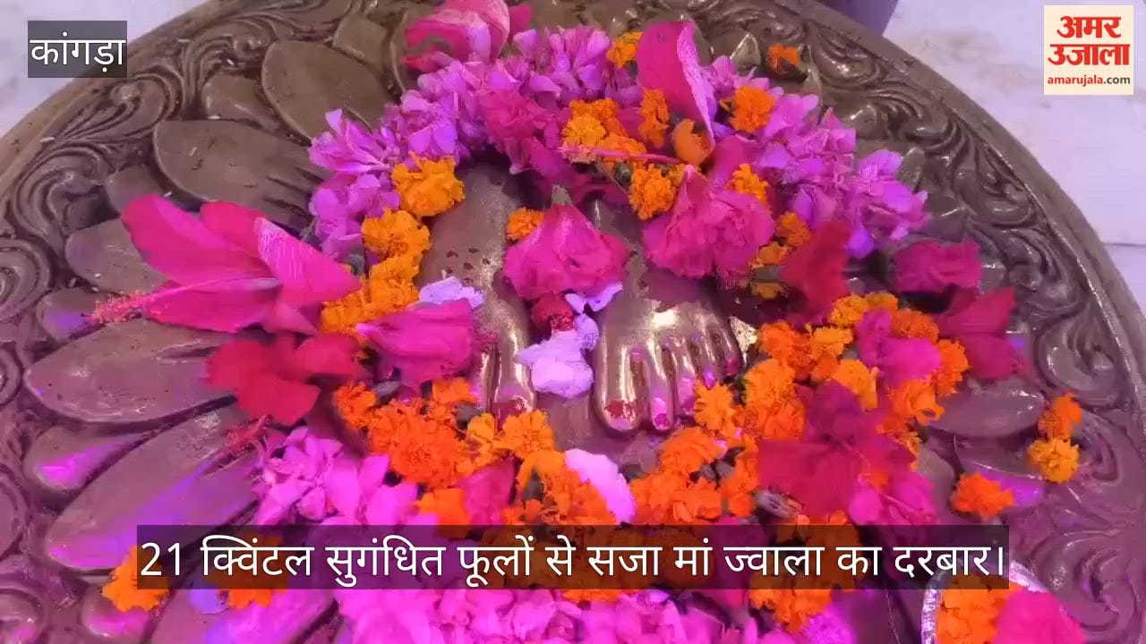jwala ji prakatotsav 2026 21 quintal flowers decoration kangra